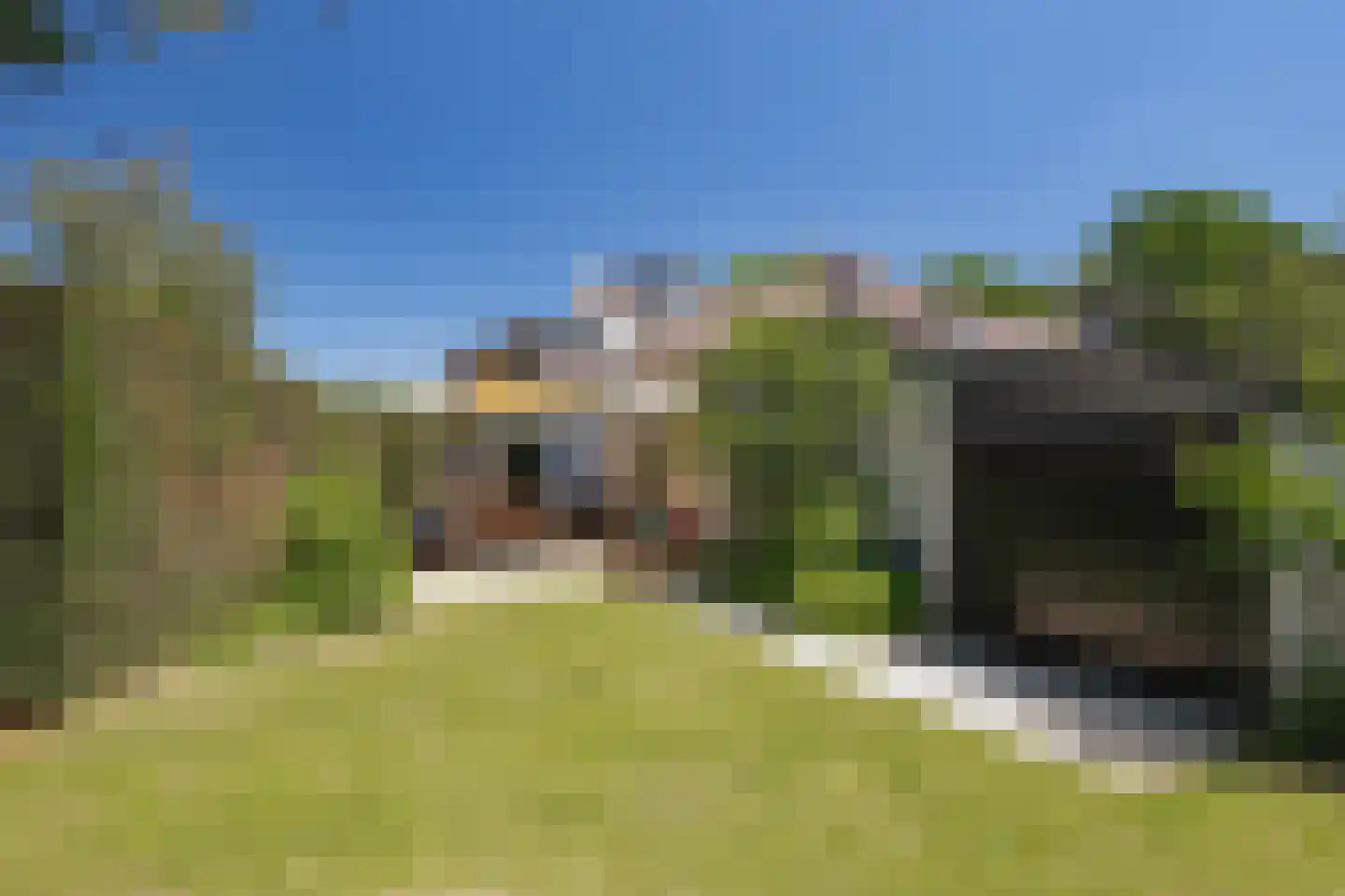 Kloosterweg 50 Bunde thumbnail 42