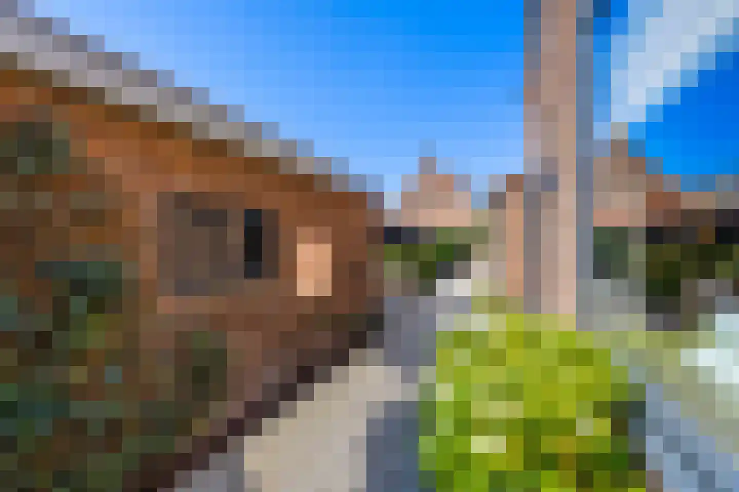 Kloosterweg 58 Laren thumbnail 64