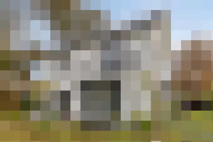Kloosterweg 59 Noordgouwe thumbnail 4