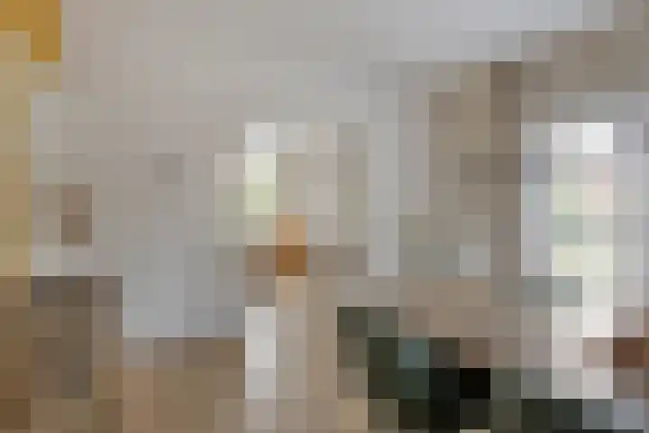 Kloosterweg 59 Noordgouwe thumbnail 8