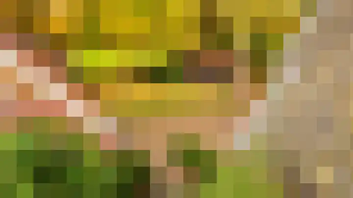 Kloosterweg 6 Almelo thumbnail 46