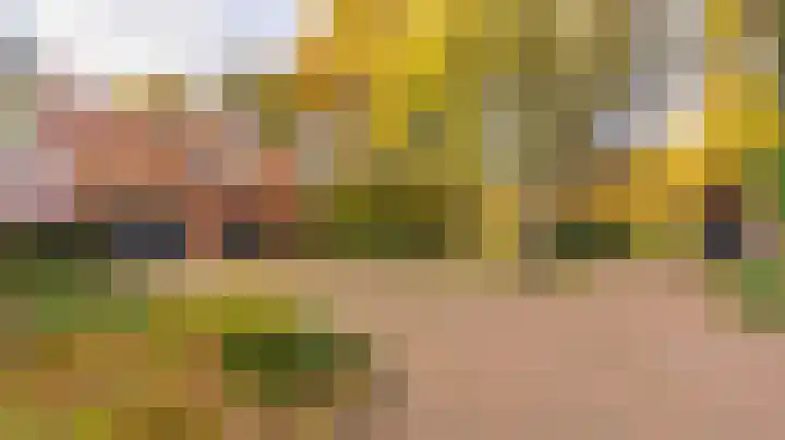 Kloosterweg 6 Almelo thumbnail 47