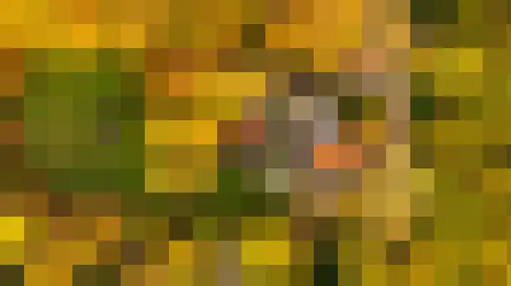 Kloosterweg 6 Almelo thumbnail 66