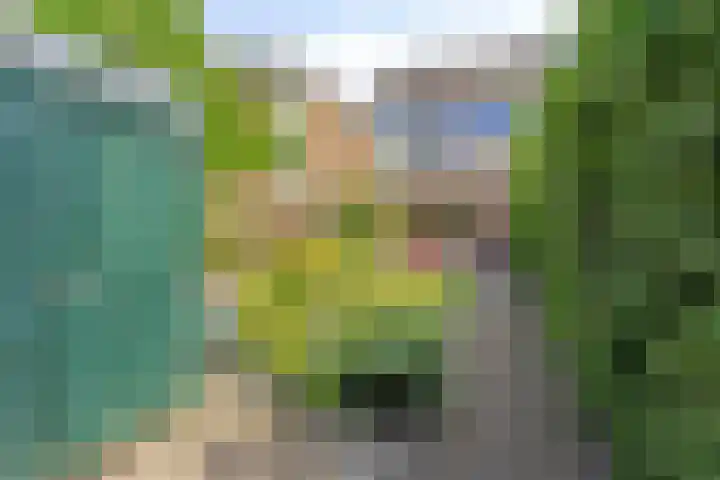 Kloosterwei 231 Warmond thumbnail 12