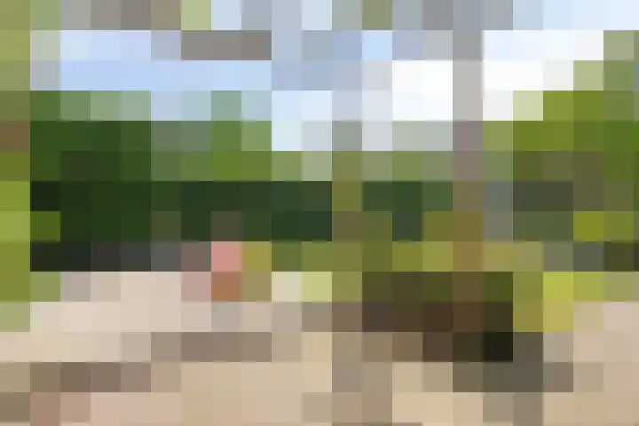 Kloosterwei 231 Warmond thumbnail 16