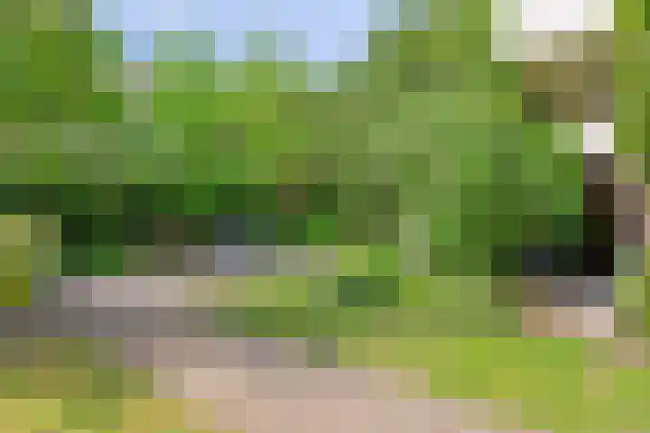 Kloosterwei 231 Warmond thumbnail 17