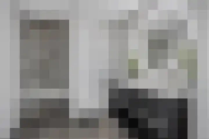 Kloosterwei 231 Warmond thumbnail 23