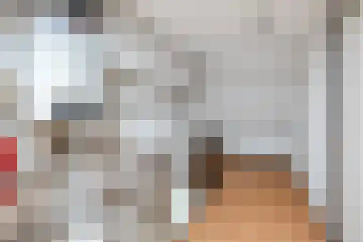 Kloosterwei 231 Warmond thumbnail 30
