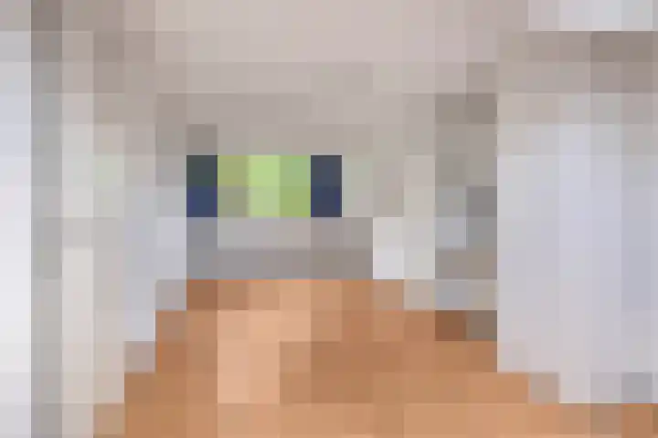 Kloosterwei 231 Warmond thumbnail 32