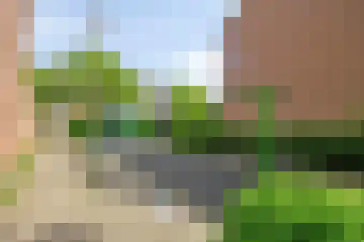 Kloosterwei 231 Warmond thumbnail 38