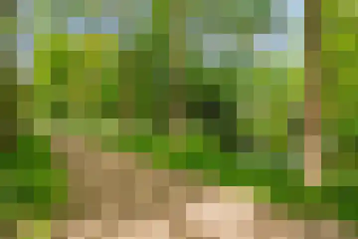Kloosterwei 231 Warmond thumbnail 39
