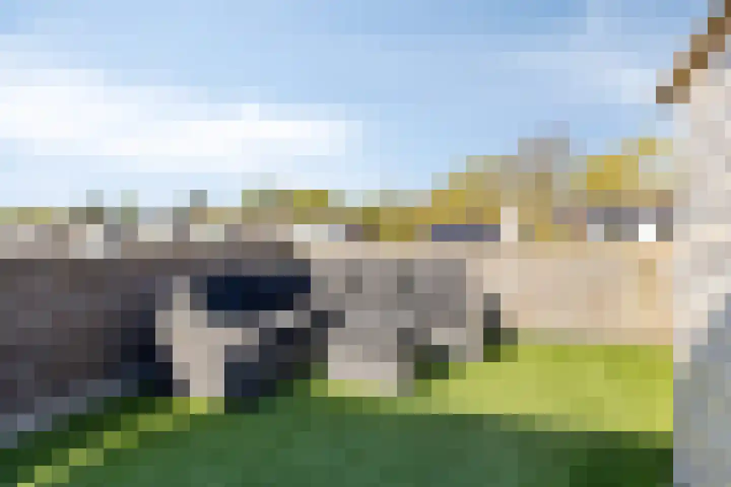 Kloosterwei 249 Warmond thumbnail 10