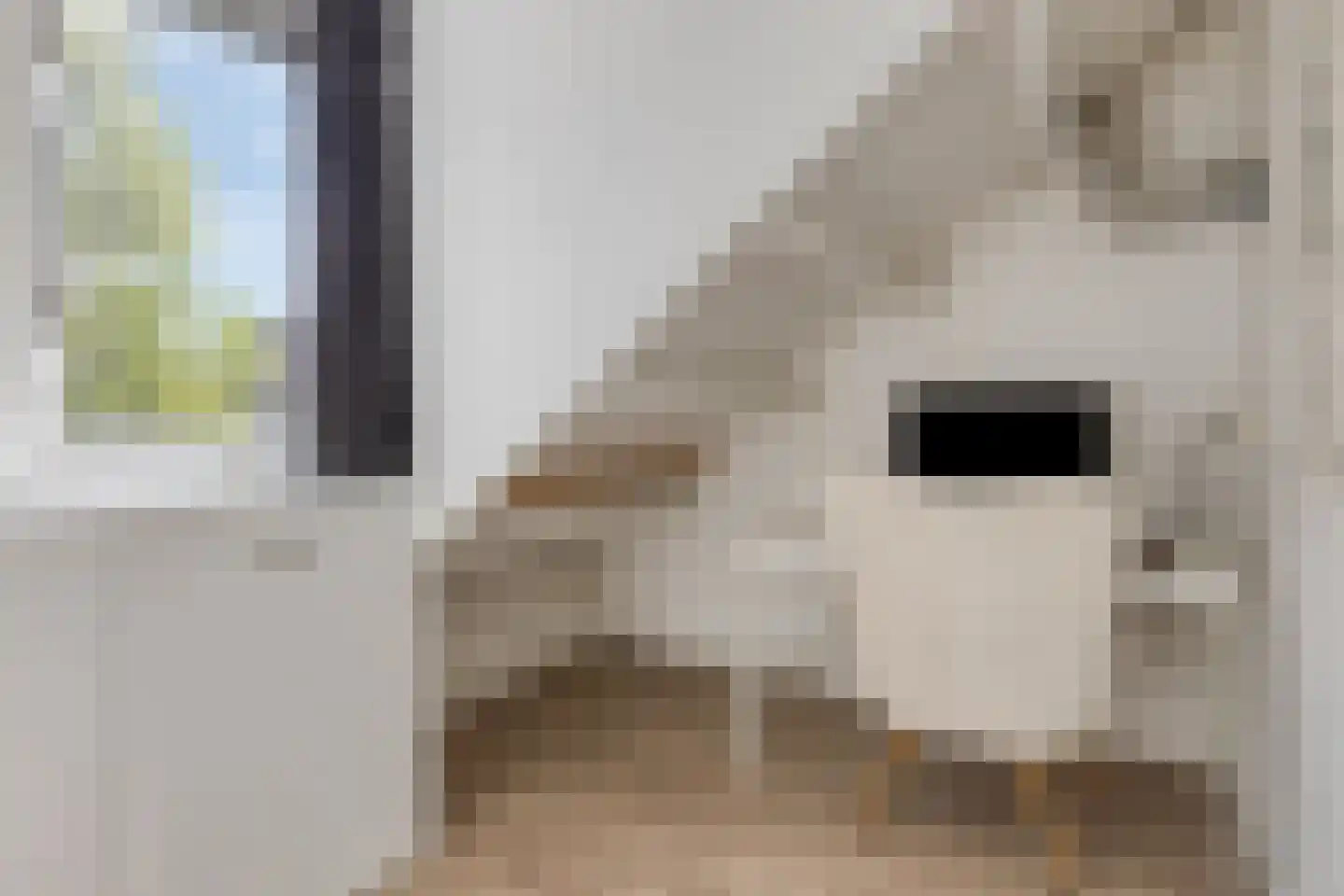 Kloosterwei 249 Warmond thumbnail 15