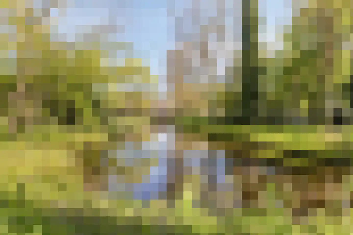 Kloosterwei 249 Warmond thumbnail 22