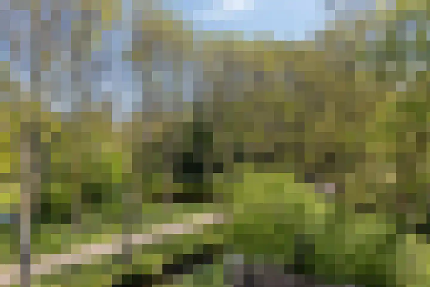 Kloosterwei 249 Warmond thumbnail 23