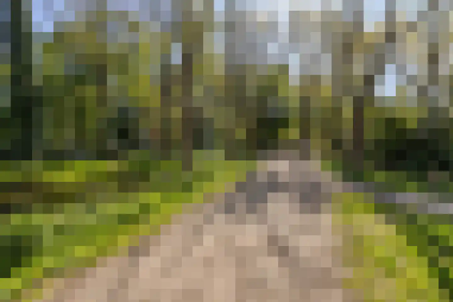 Kloosterwei 249 Warmond thumbnail 24