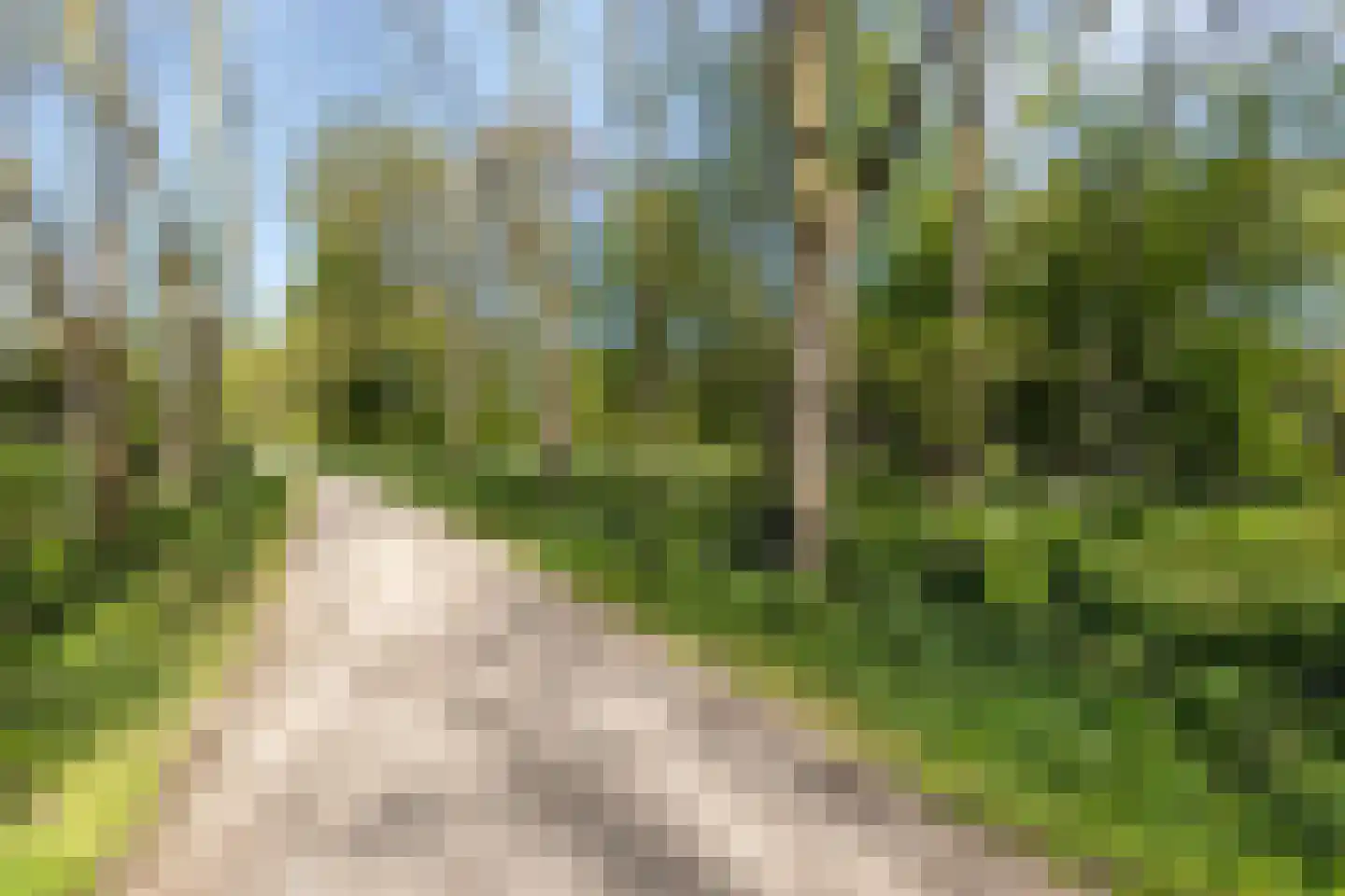 Kloosterwei 249 Warmond thumbnail 25