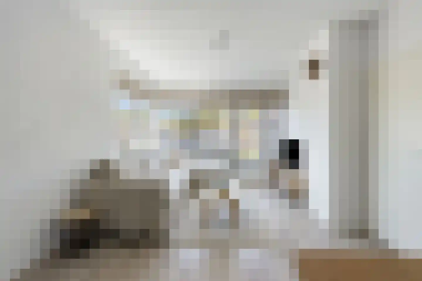 Kloosterwei 249 Warmond thumbnail 6