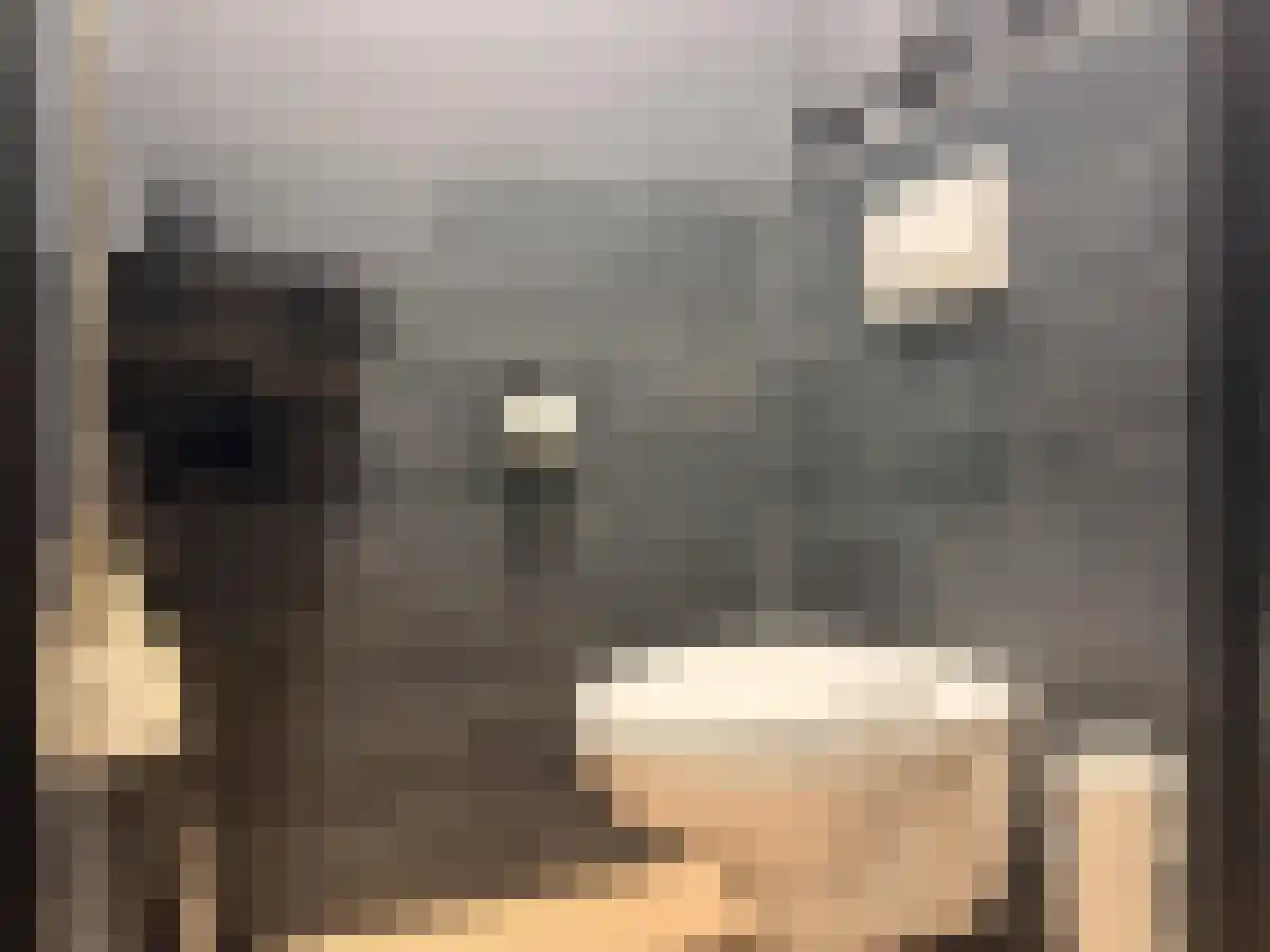 Kloosterwei 6 Warmond thumbnail 5