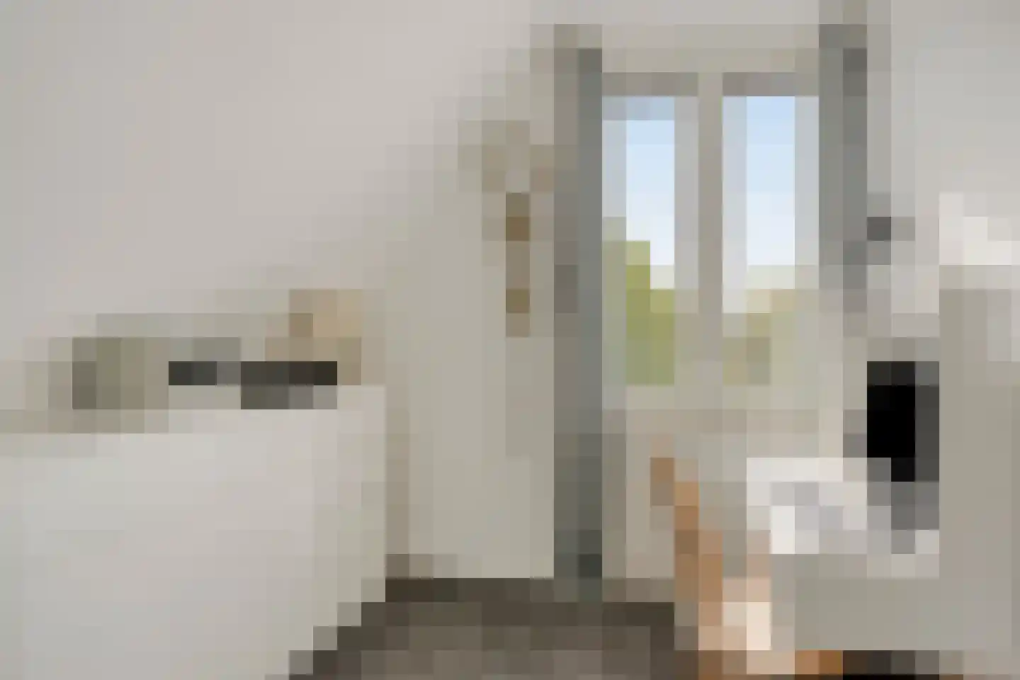 Kloosterweide 14 Wamel thumbnail 18