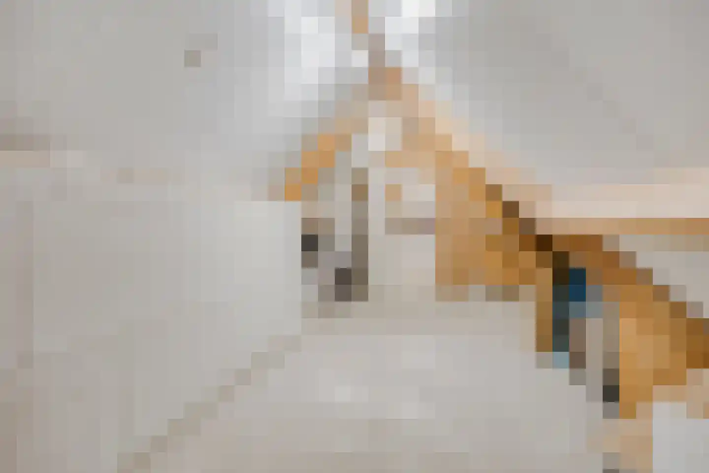 Kloosterweide 14 Wamel thumbnail 22