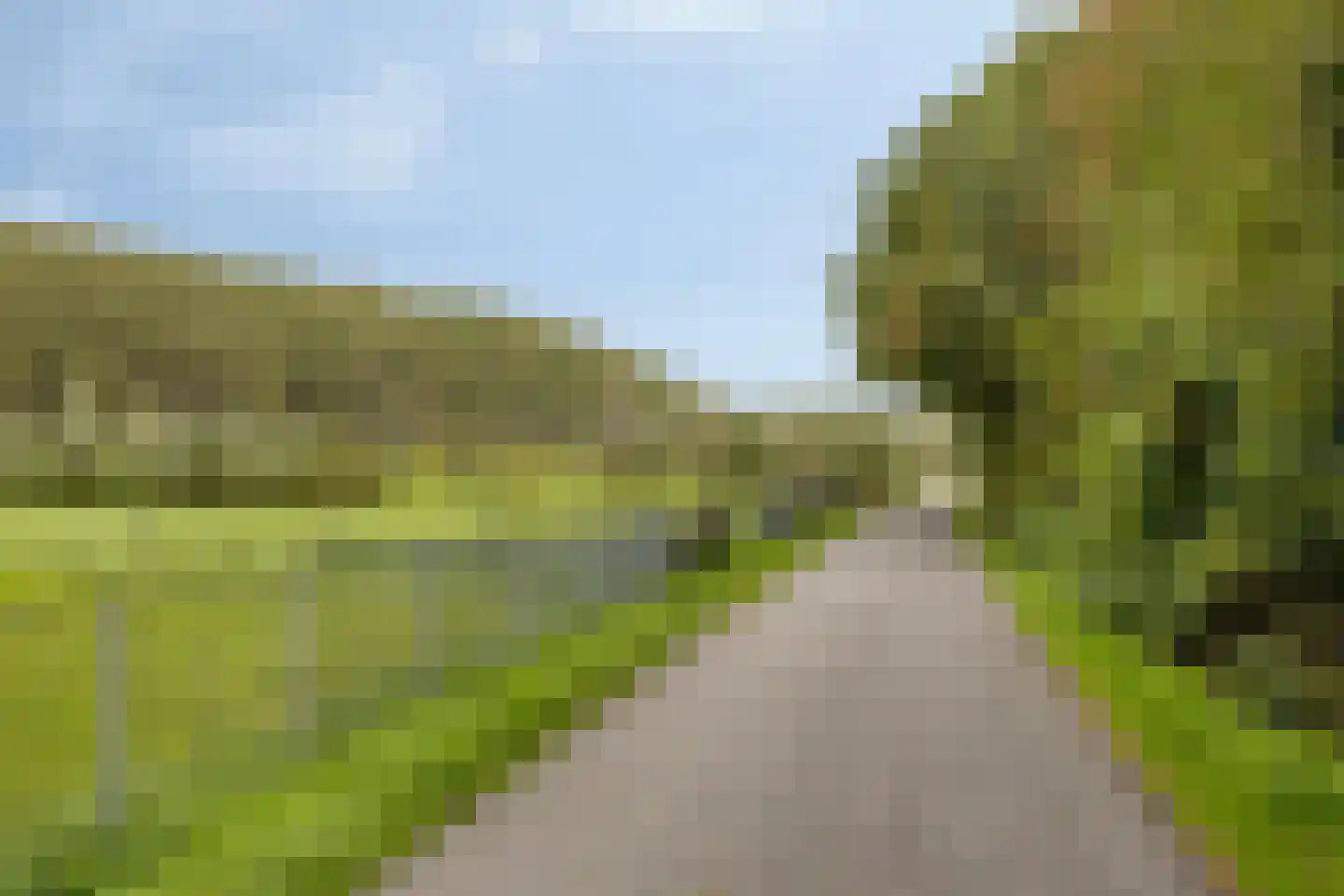 Kloosterweide 14 Wamel thumbnail 29