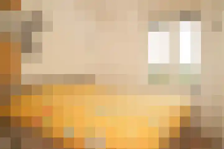 Kloosterweide 26 Wamel thumbnail 13