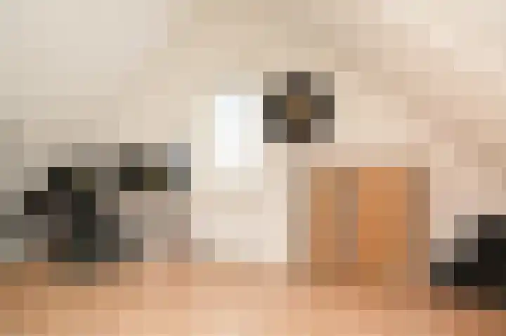 Kloosterweide 26 Wamel thumbnail 22