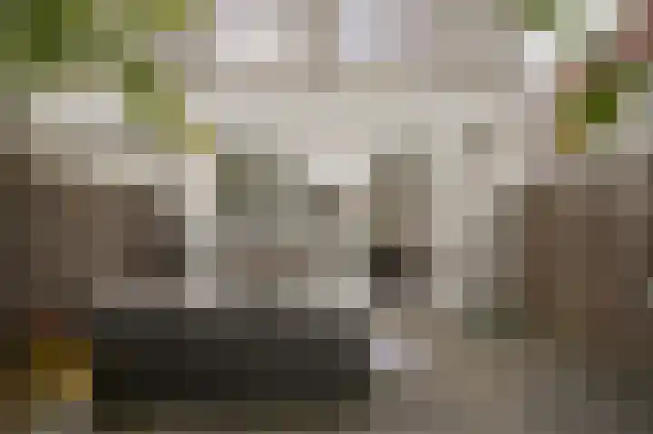 Kloosterweide 26 Wamel thumbnail 28