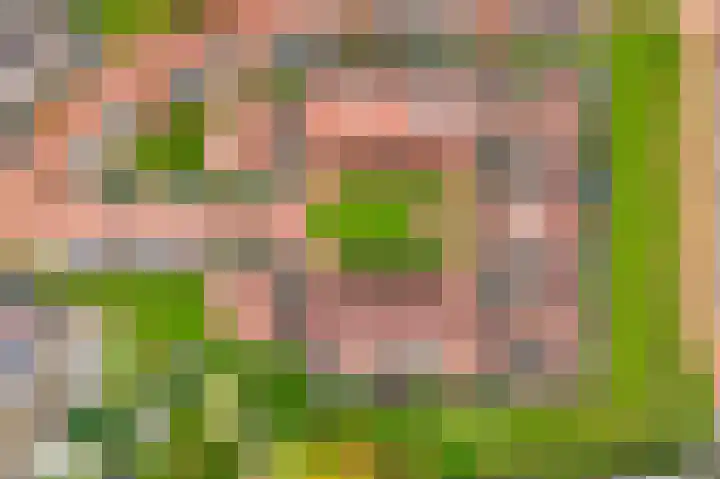 Kloosterweide 26 Wamel thumbnail 38