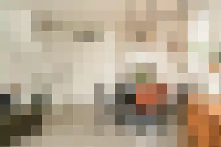 Kloosterweide 26 Wamel thumbnail 6