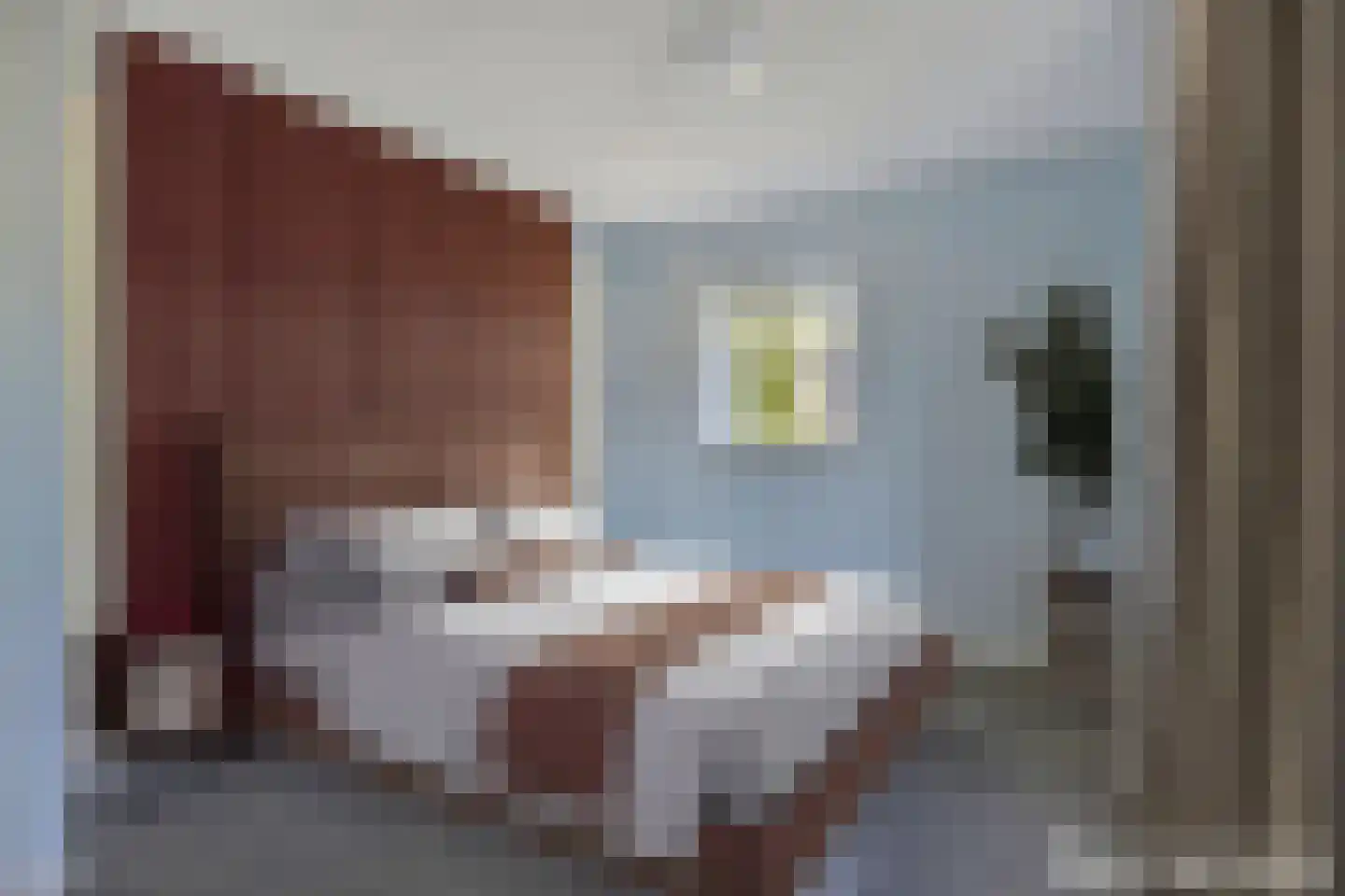 Kloosterweide 64 Wamel thumbnail 11