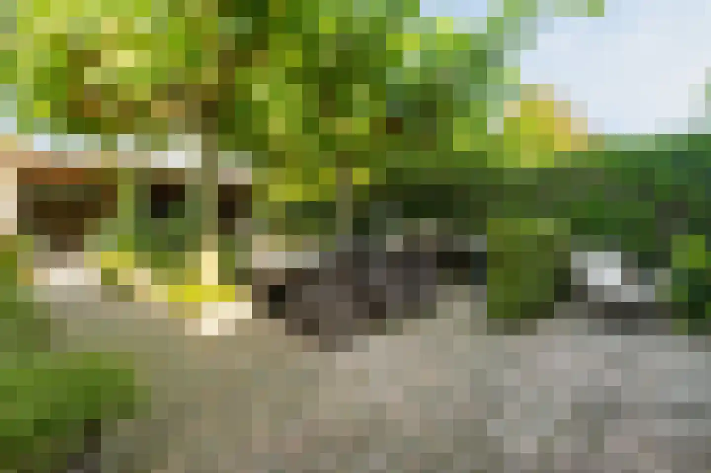Kloosterwiel 58 Zaltbommel thumbnail 4