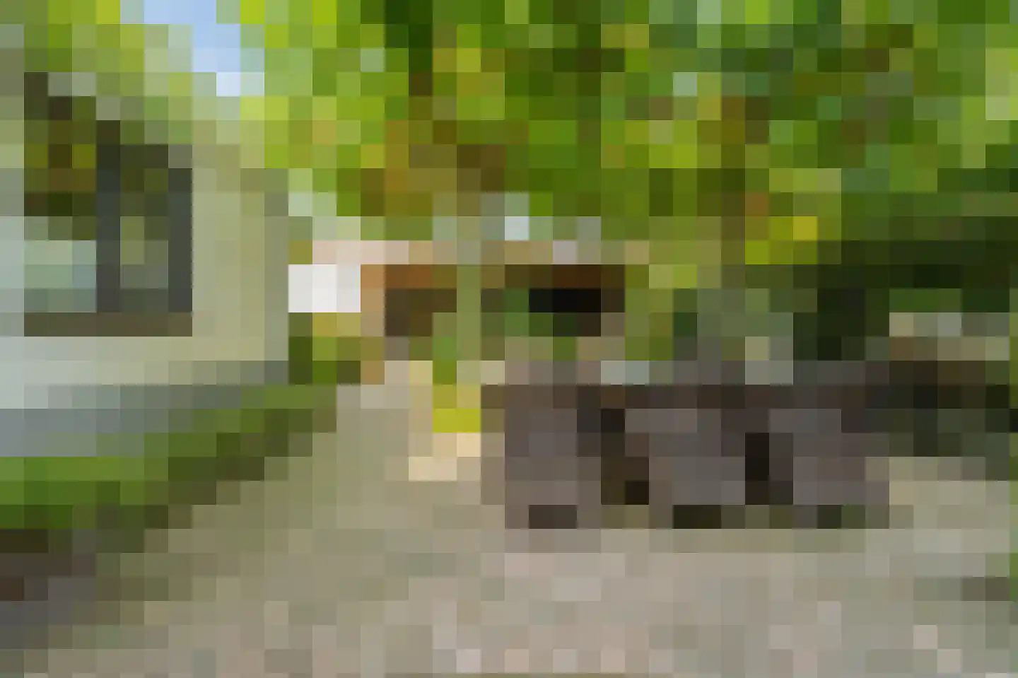 Kloosterwiel 58 Zaltbommel thumbnail 62