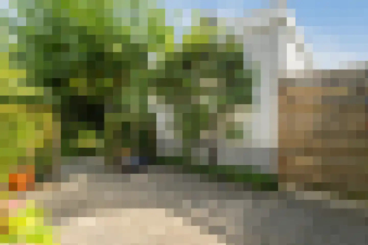 Kloosterwiel 58 Zaltbommel thumbnail 72