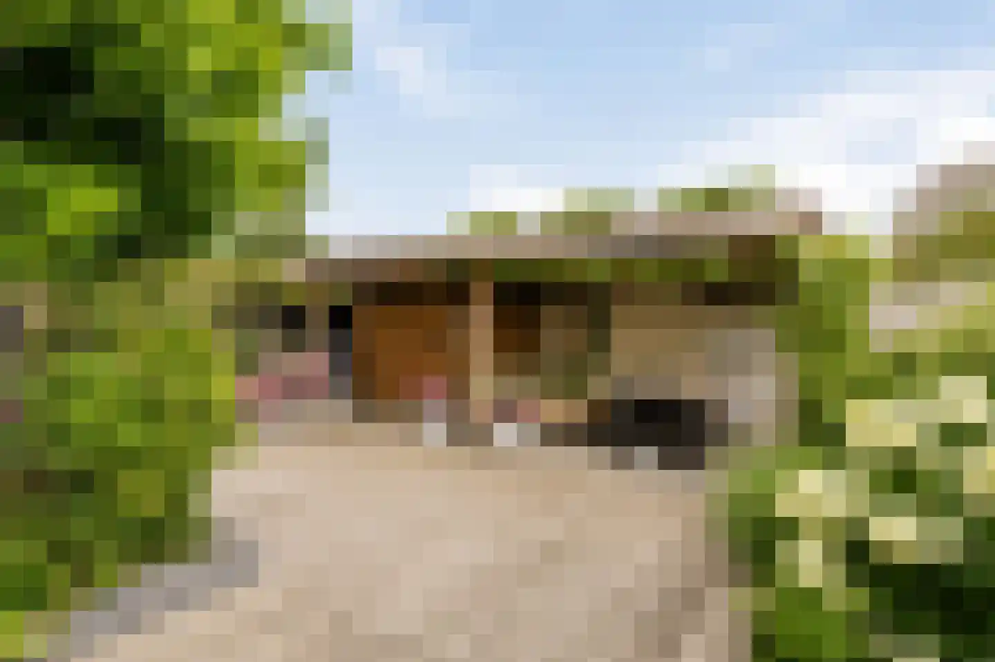 Kloosterwiel 61 Zaltbommel thumbnail 34