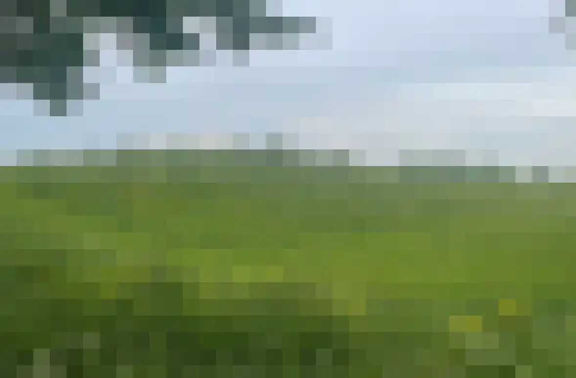 Kloosterwiel 61 Zaltbommel thumbnail 42