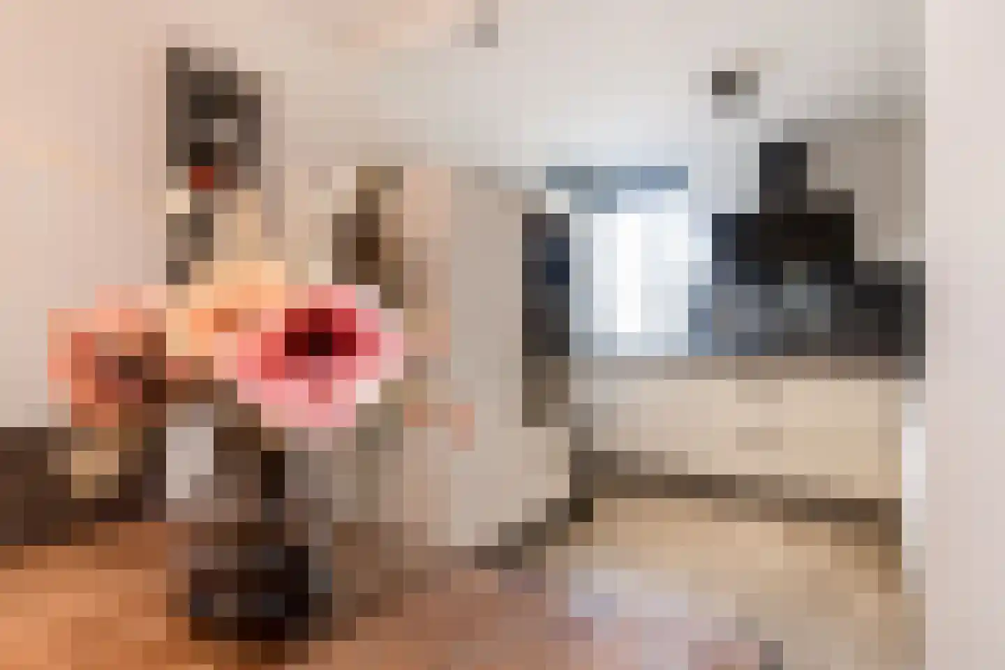 Kloosterwiel 72 Zaltbommel thumbnail 13