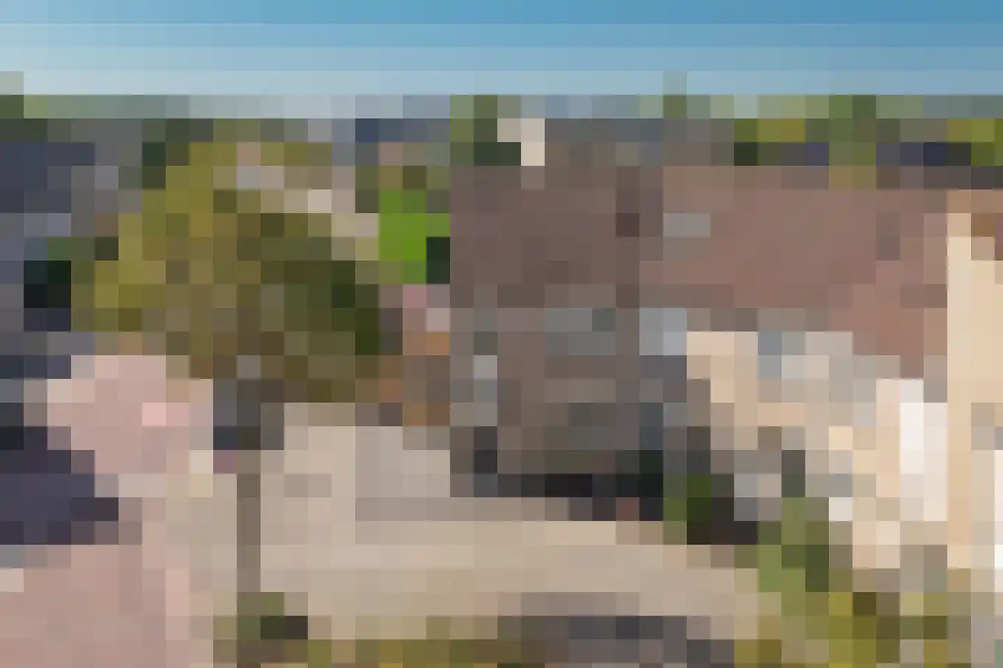 Kloosterwiel 80 Zaltbommel thumbnail 47