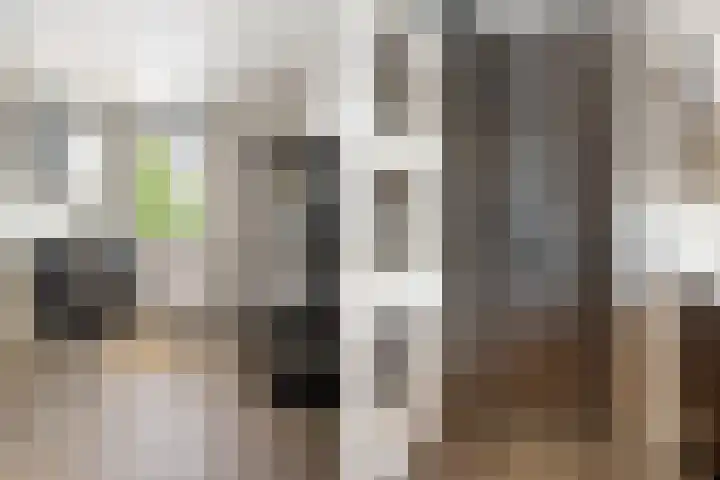 Kloosterwiel 91 Zaltbommel thumbnail 18