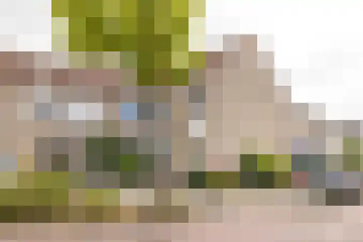 Kloosterwiel 91 Zaltbommel thumbnail 31