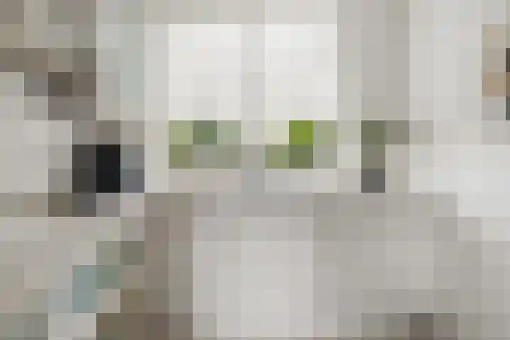 Kloosterwiel 91 Zaltbommel thumbnail 6