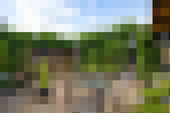 Kloppe-ven 11 Horn thumbnail 17