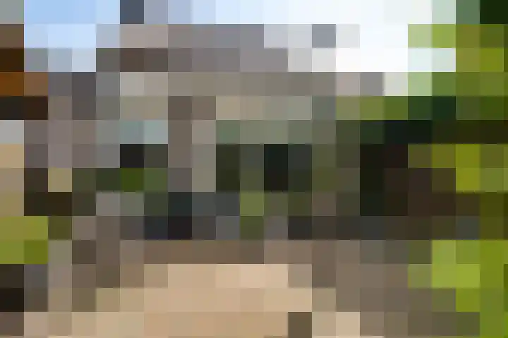 Kloppe-ven 11 Horn thumbnail 18