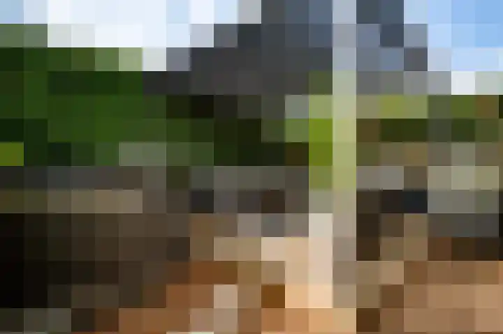Kloppe-ven 11 Horn thumbnail 19