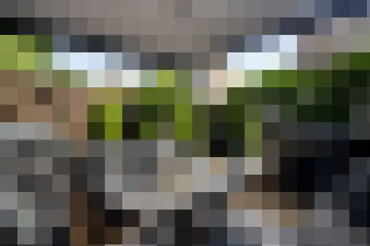 Kloppe-ven 11 Horn thumbnail 20
