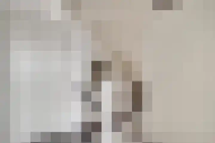 Kloppe-ven 11 Horn thumbnail 21