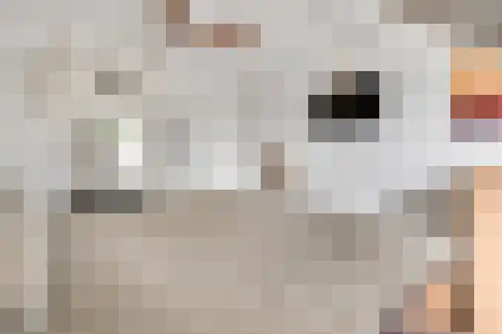 Kloppe-ven 11 Horn thumbnail 23