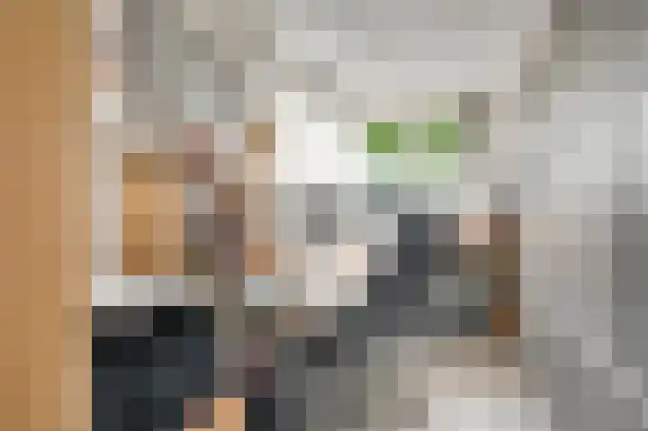 Kloppe-ven 11 Horn thumbnail 26