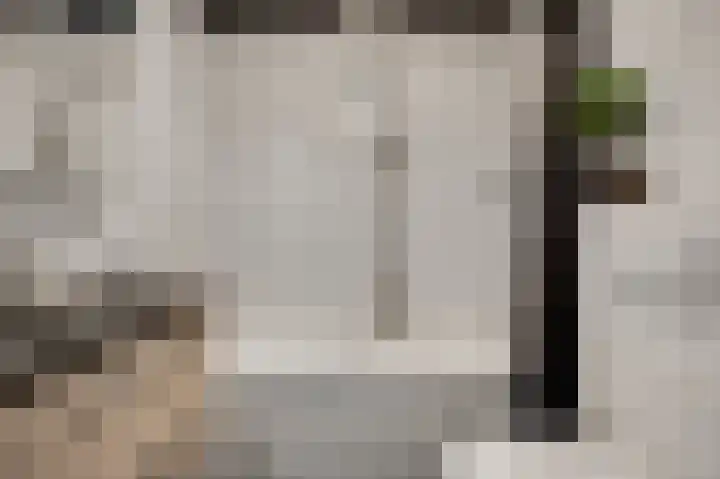 Kloppe-ven 11 Horn thumbnail 27